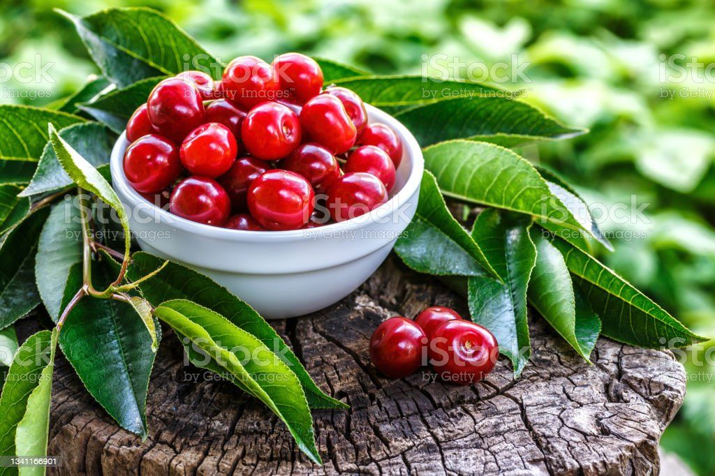 Best Tart Cherry Extract Supplement for Muscles Recovery,sorness and Reduce Inflamation