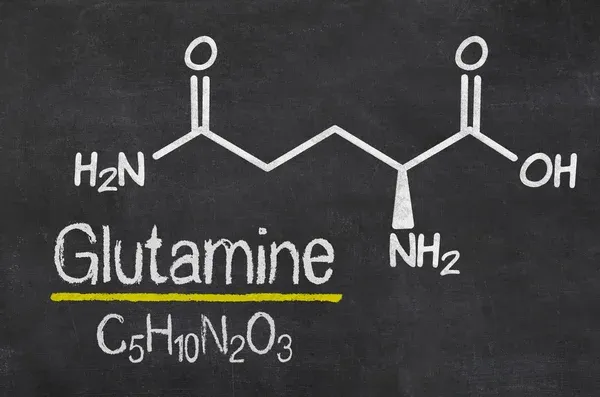 Best Glutamine Supplements for prolonged endurance