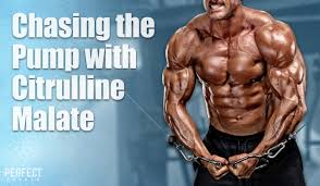 The Best Citrulline Supplements for Improved Athletic Performance