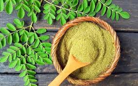 Looking for an All-Natural Supplement to Boost Your Health? Check Out Moringa