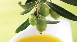 5 Reasons You Should Be Taking an Olive Leaf Extract Supplement