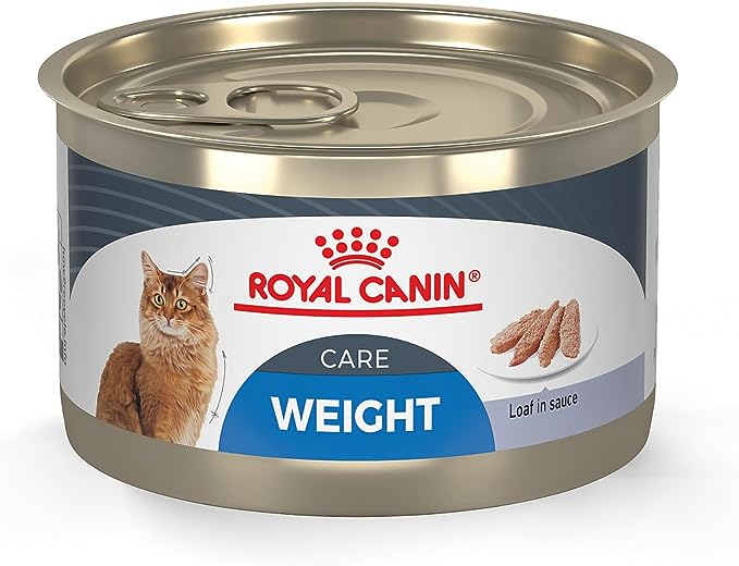 Best Royal Canin Cat Food
